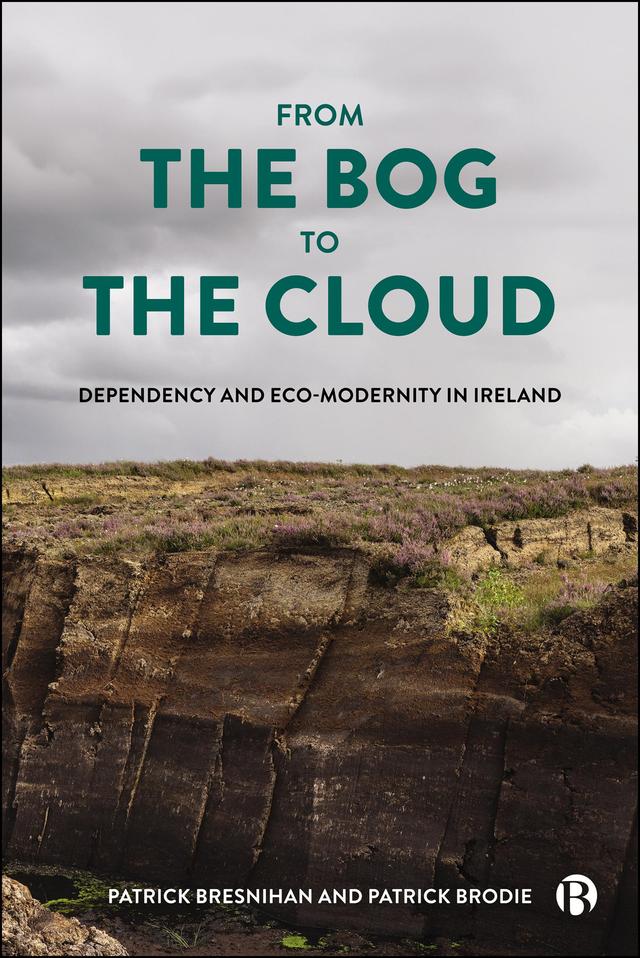 From the Bog to the Cloud by Patrick Bresnihan, Patrick Brodie