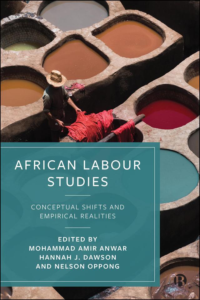 African Labour Studies by Hannah J. Dawson, Mohammad Amir Anwar, Nelson Oppong
