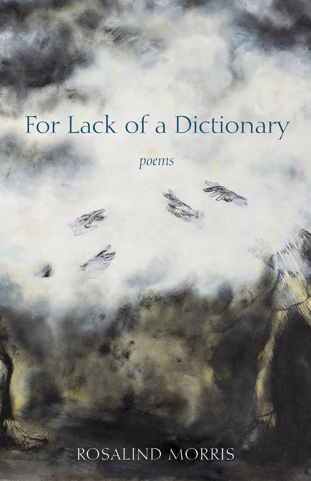 For Lack of a Dictionary by Rosalind Morris