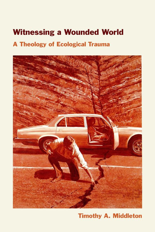 Witnessing a Wounded World by Timothy Middleton