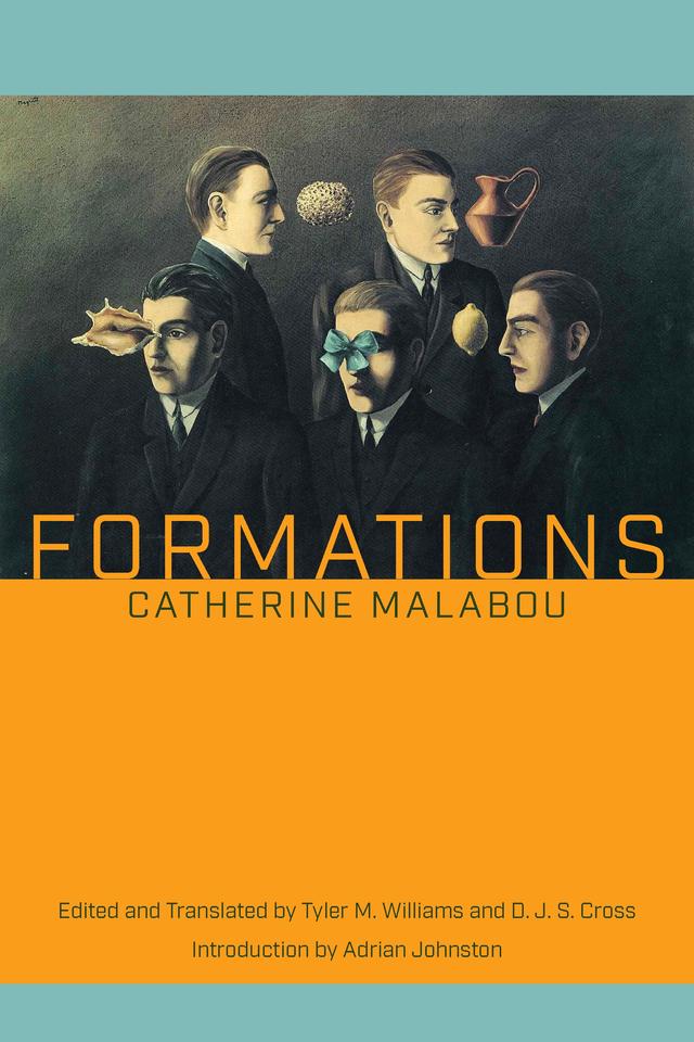Formations by Adrian Johnston, Catherine Malabou, D. J. S. Cross, Tyler M. Williams