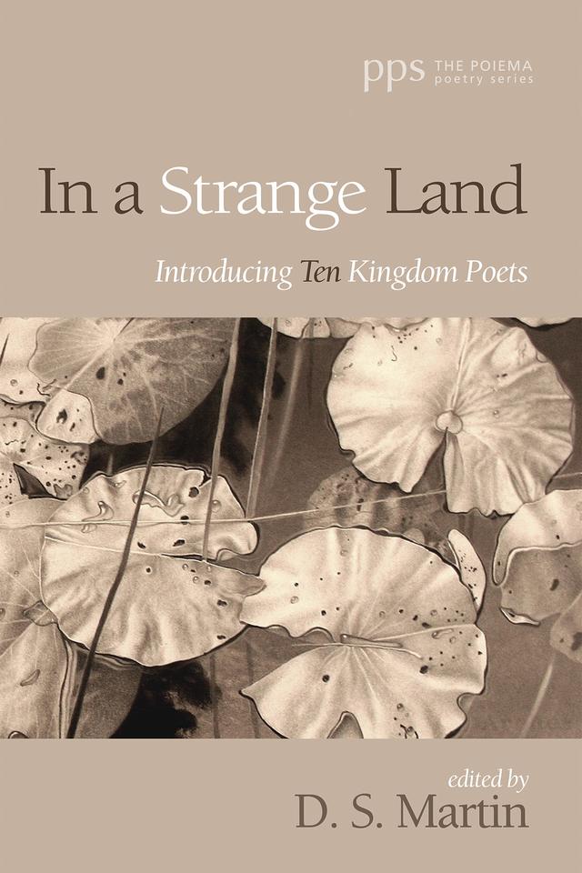 In a Strange Land by D. S. Martin