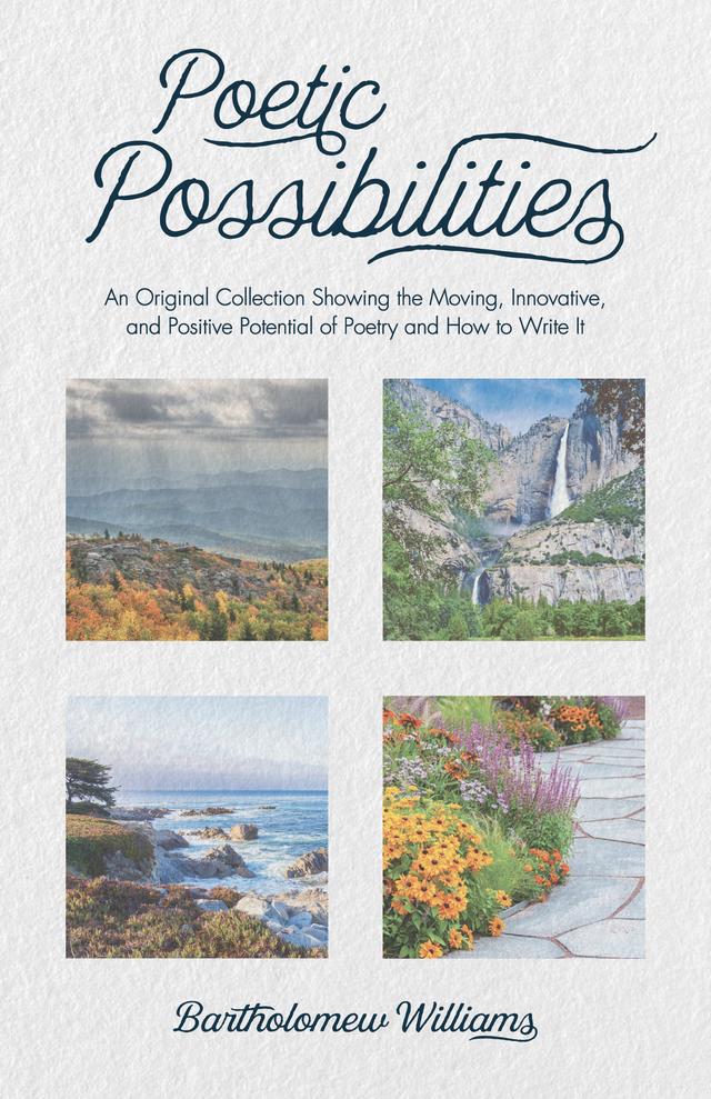 Poetic Possibilities by Bartholomew Williams