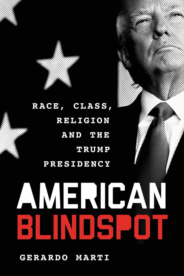 American Blindspot by Gerardo Martí