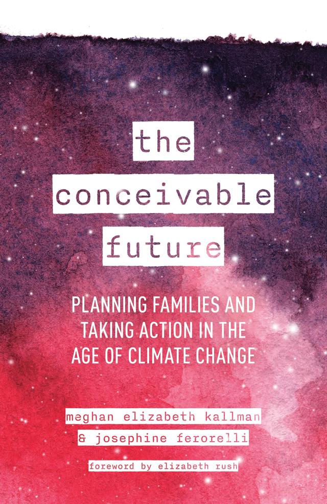 The Conceivable Future by 