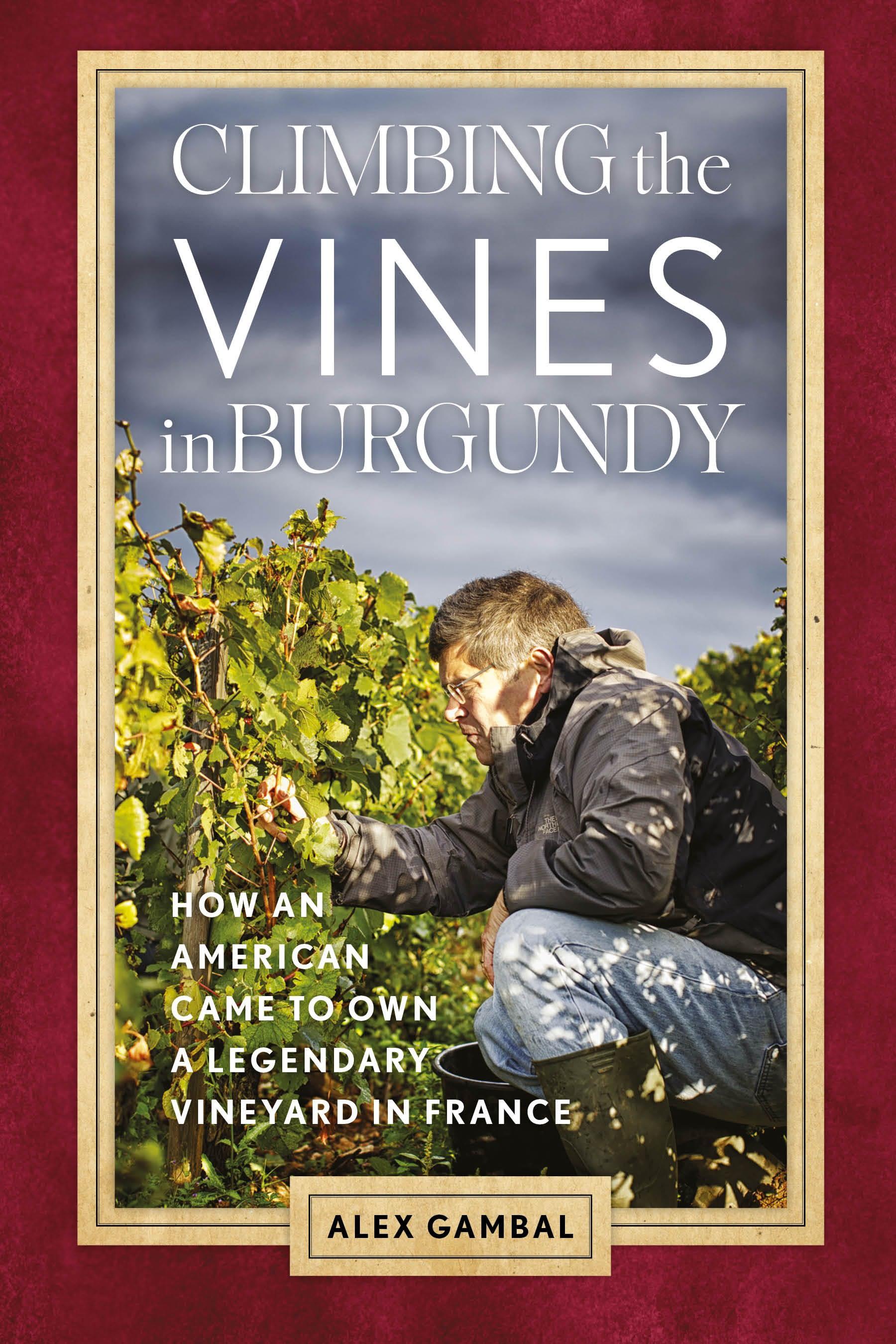 Climbing the Vines in Burgundy