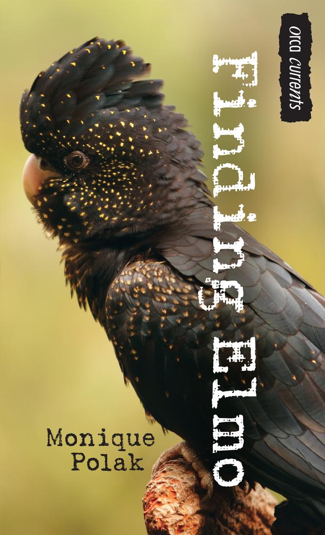 Finding Elmo by Monique Polak