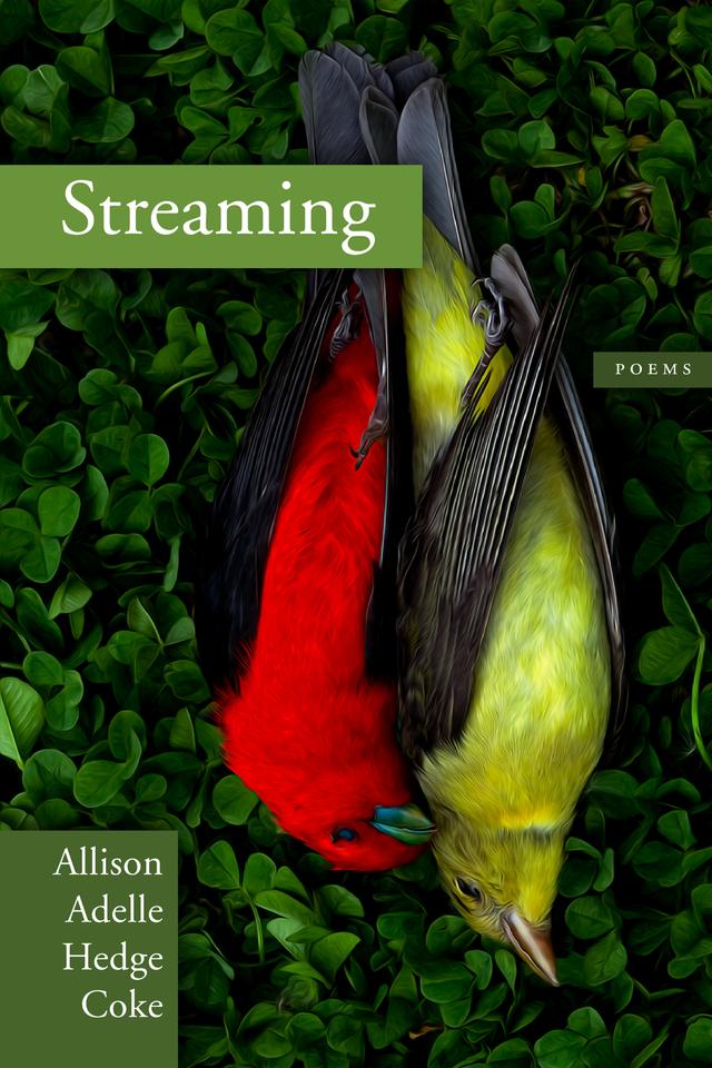 Streaming by Allison Adelle Hedge Coke