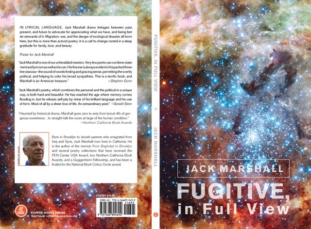 Fugitive, in Full View by Jack Marshall