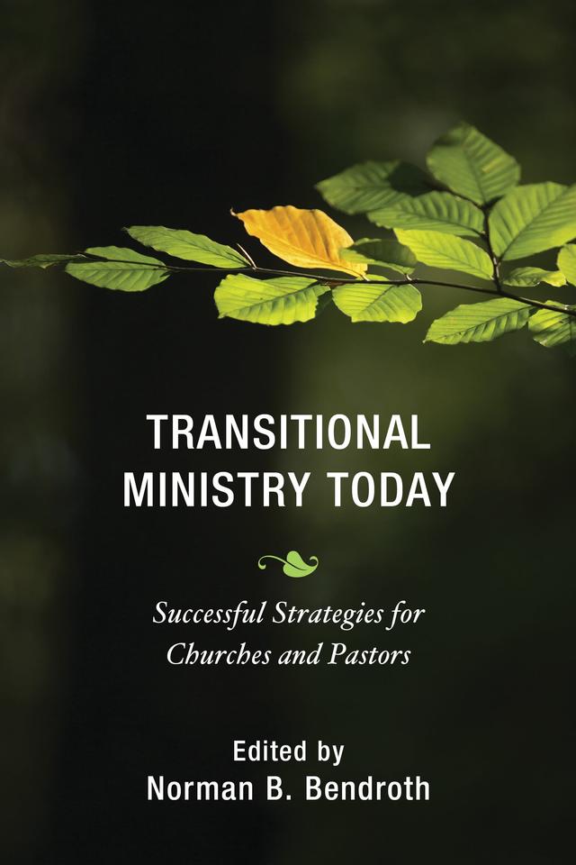 Transitional Ministry Today by Anthony B. Robinson, Beverly A. Thompson, Bianca Duemling, Cameron Trimble, David R. Sawyer, Deborah J. Pope-Lance, George B. Thompson Jr., Gretchen J. Switzer, John Keydel, Norman B. Bendroth, Rev. Michael S. Piazza, Robert J. Voyle