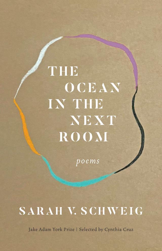 The Ocean in the Next Room by Sarah V. Schweig