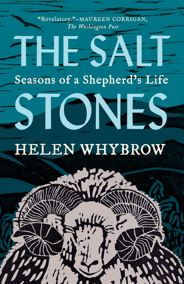The Salt Stones by Helen Whybrow