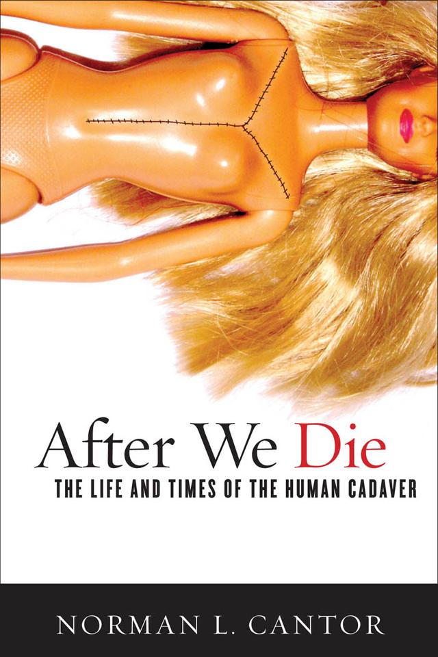 After We Die by Norman L. Cantor