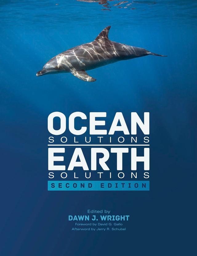 Ocean Solutions, Earth Solutions by Dawn J. Wright