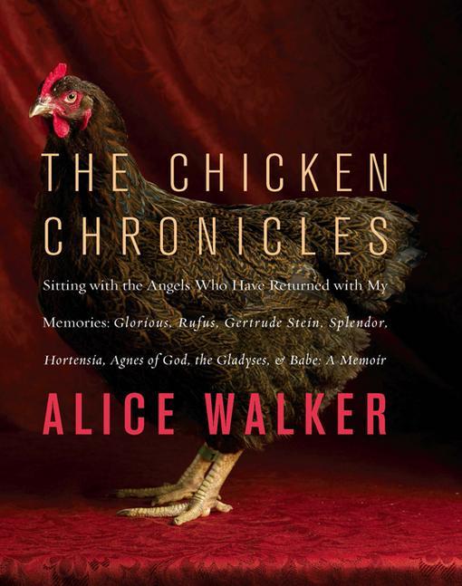 The Chicken Chronicles