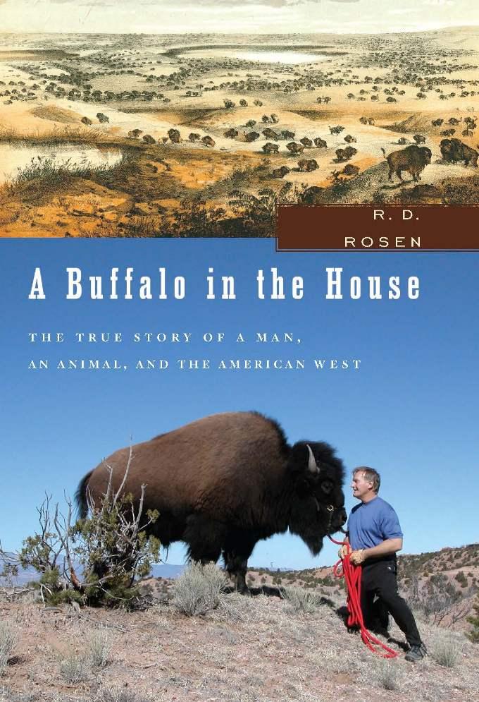 A Buffalo in the House