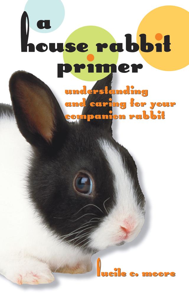 A House Rabbit Primer by Lucile C Moore