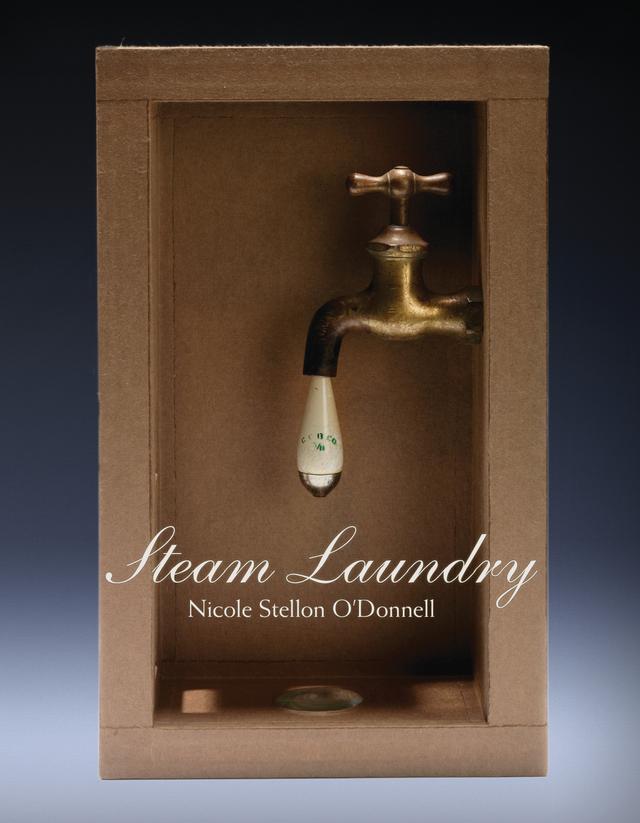 Steam Laundry by Nicole Stellon O'Donnell