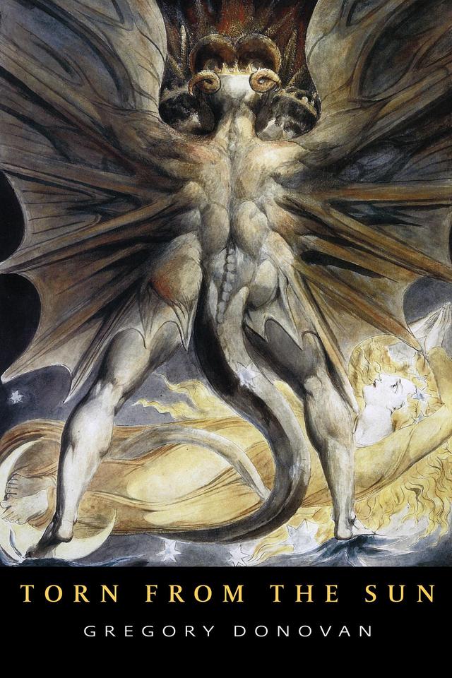 Torn from the Sun by Gregory Donovan