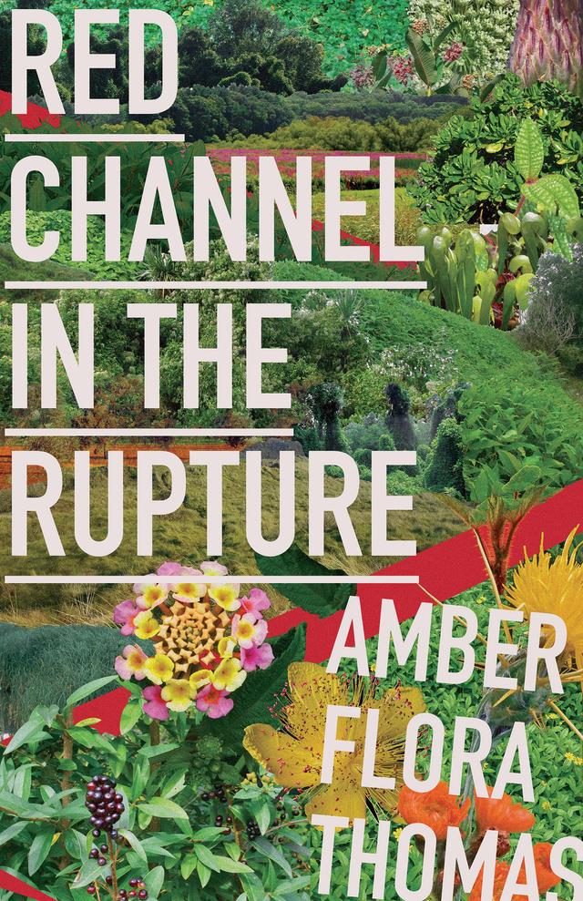 Red Channel in the Rupture by Amber Flora Thomas