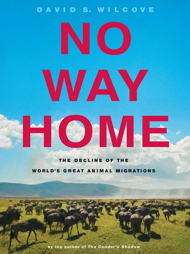 No Way Home by David S. Wilcove