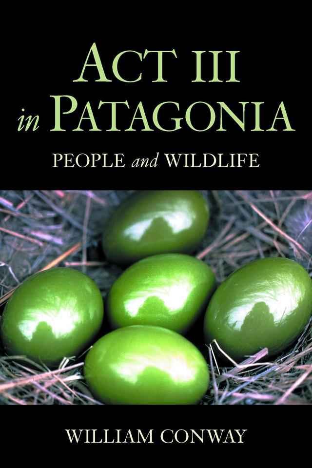 Act III in Patagonia by William Conway
