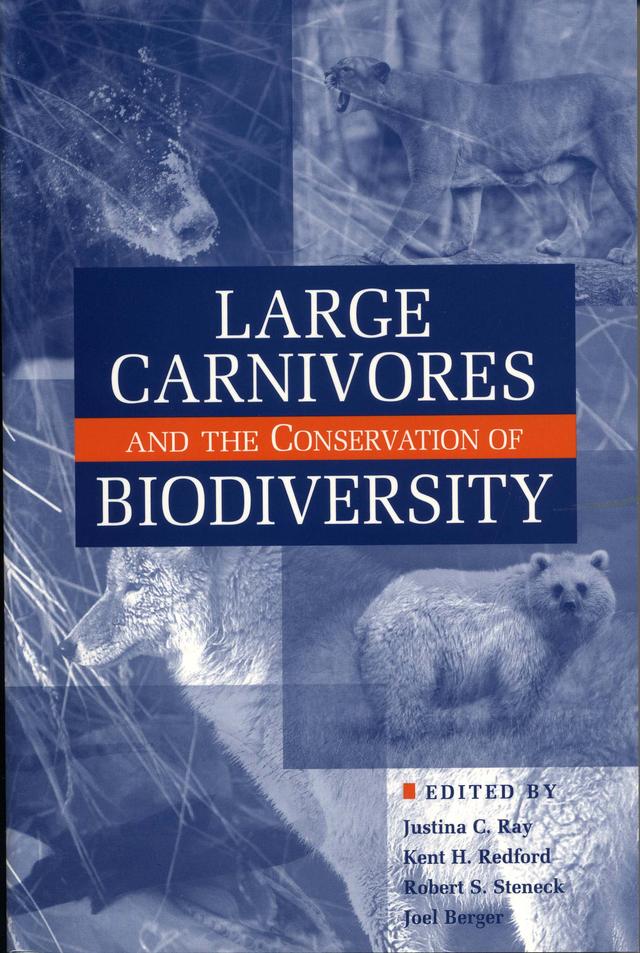 Large Carnivores and the Conservation of Biodiversity by Joel Berger, Justina Ray, Kent H. Redford, Robert Steneck