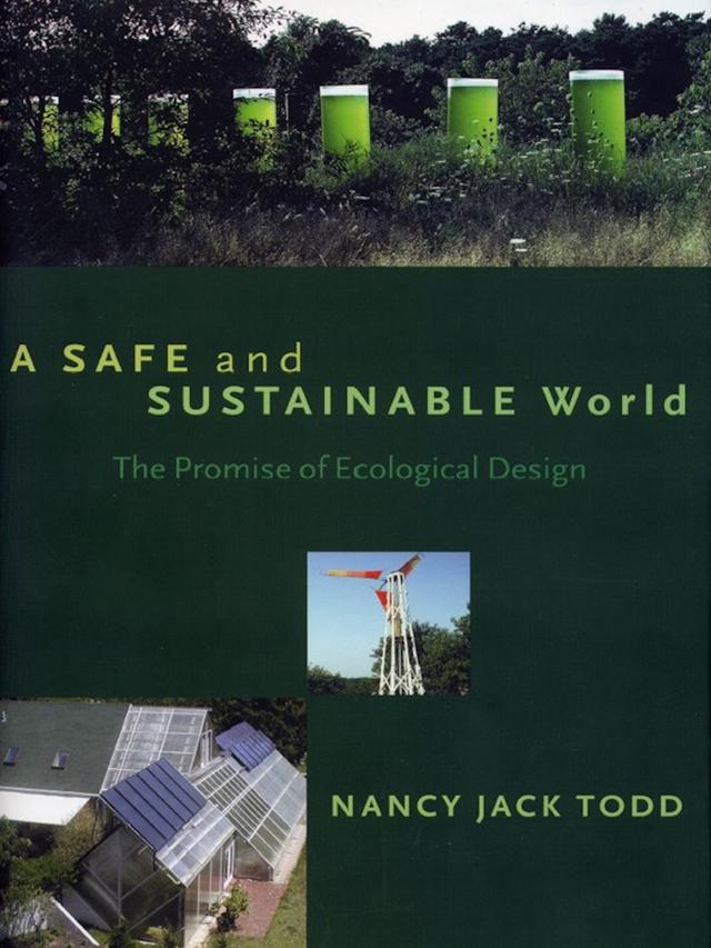 A Safe and Sustainable World by Nancy Jack Todd