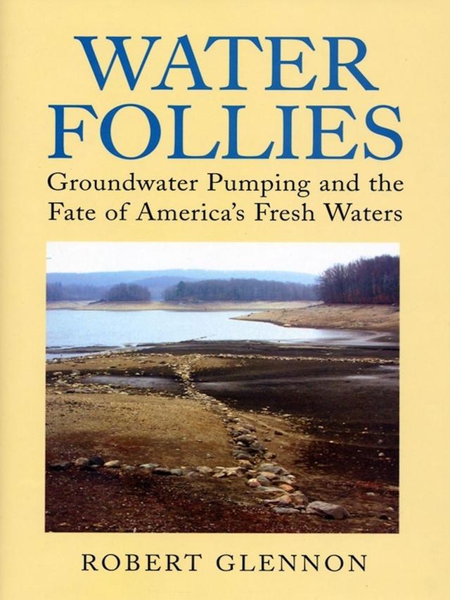 Water Follies by Robert Jerome Glennon