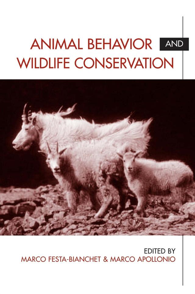 Animal Behavior and Wildlife Conservation by Marco Apollonio, Marco Festa-Bianchet