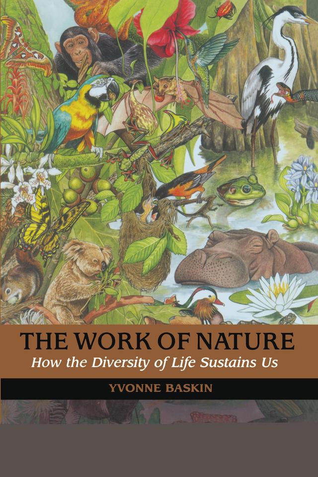 The Work of Nature by Abigail Rorer, Harold A. Mooney, Jane Lubchenco, Paul R. Ehrlich, Yvonne Baskin