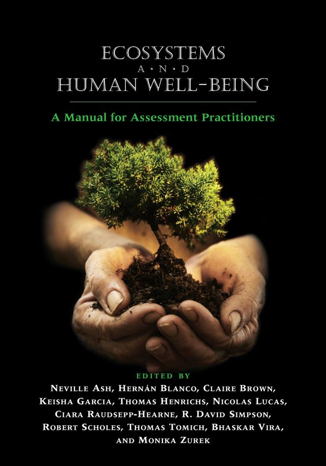Ecosystems and Human Well-Being by Bhaskar Vira, Claire Brown, Hernn Blanco, Keisha Garcia, Monika Zurek, Neville Ash, Thomas Tomich