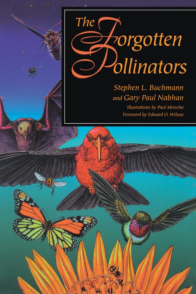 The Forgotten Pollinators by Gary Paul Nabhan, Paul Mirocha, Stephen L. Buchmann
