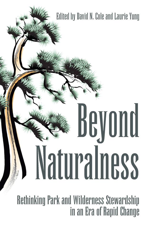 Beyond Naturalness by David N. Cole, Laurie Yung