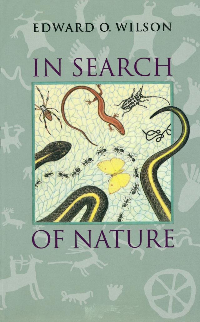 In Search of Nature by Edward O. Wilson, Laura Southworth