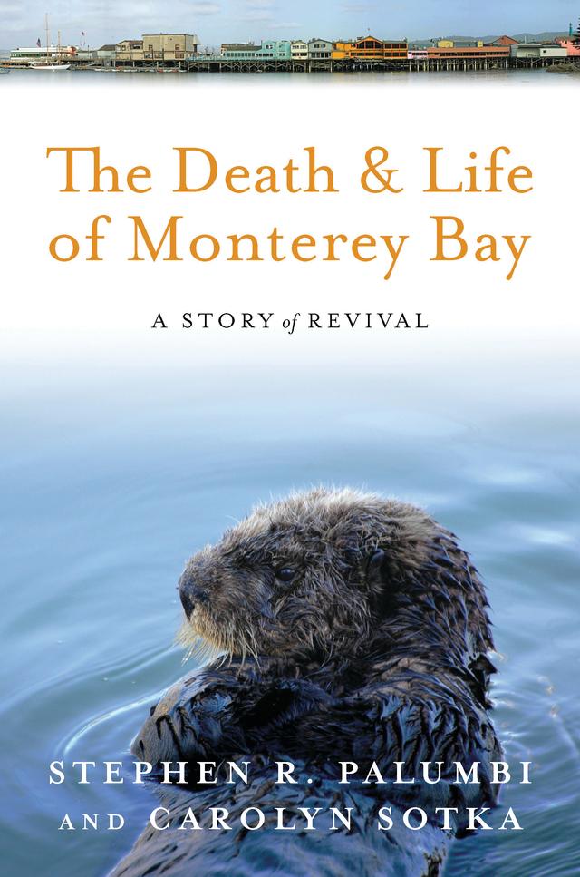 The Death and Life of Monterey Bay by Carolyn Sotka, Stephen R. Palumbi