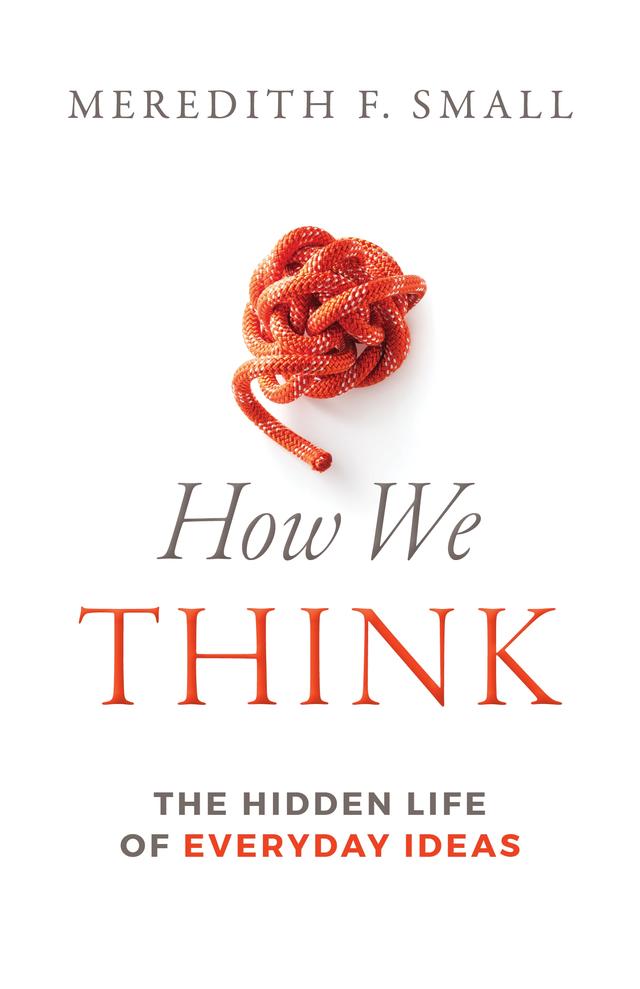 How We Think by Meredith Francesca Small