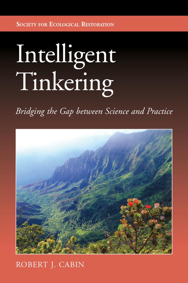 Intelligent Tinkering by Robert Jonathan Cabin