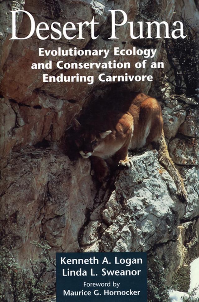 Desert Puma by Kenneth A. Logan, Linda L. Sweanor, Maurice G. Hornocker