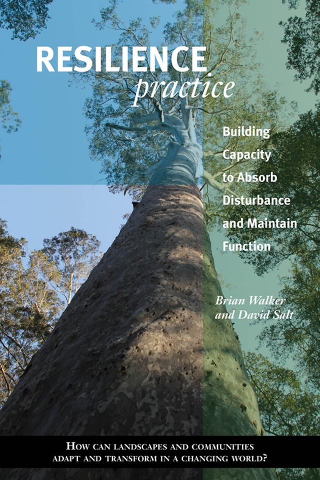 Resilience Practice by Brian Walker, David Salt