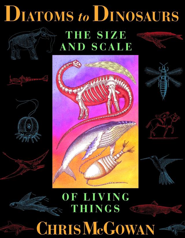 Diatoms to Dinosaurs by Christopher McGowan, Julian Mulock