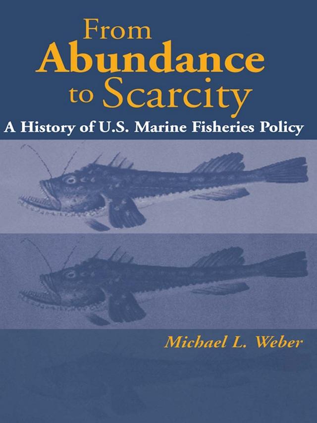 From Abundance to Scarcity by Michael L. Weber