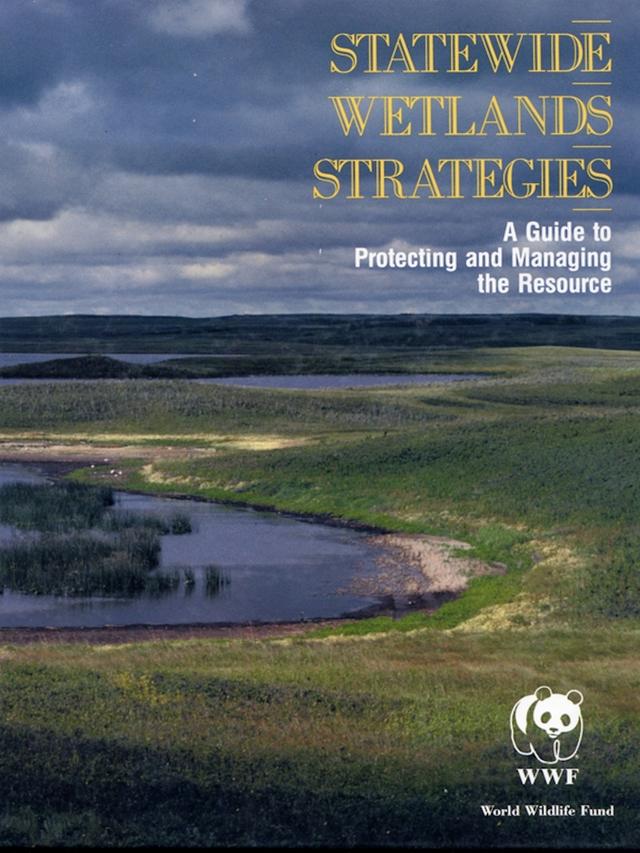 Statewide Wetlands Strategies by Mark Rorner