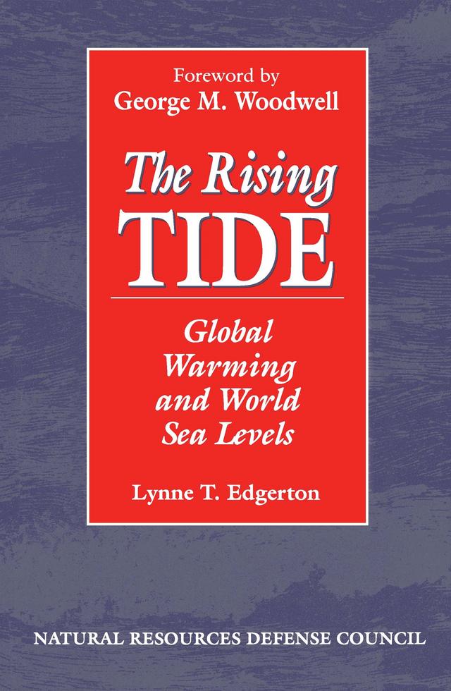 The Rising Tide by Lynne Edgerton