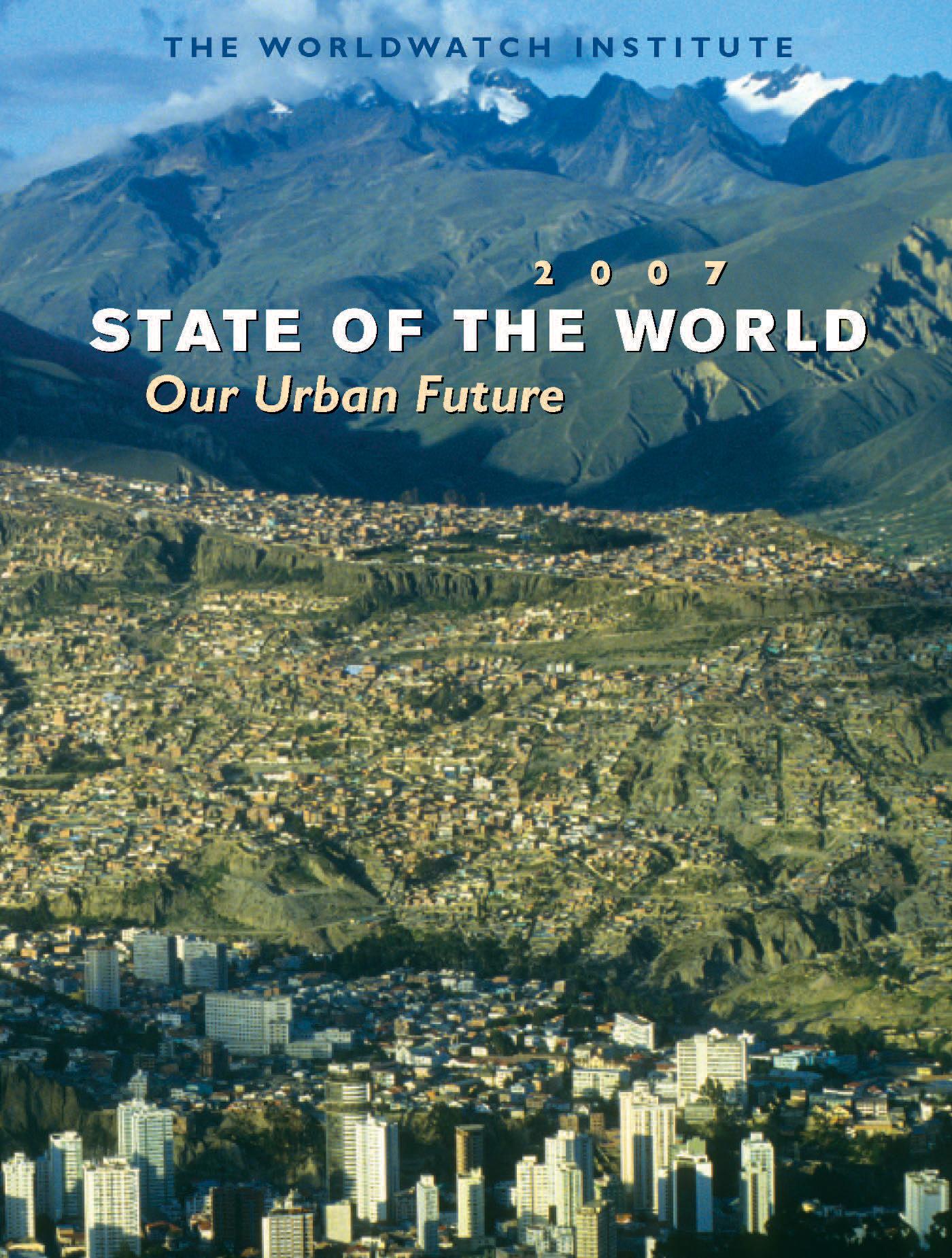State of the World 2007