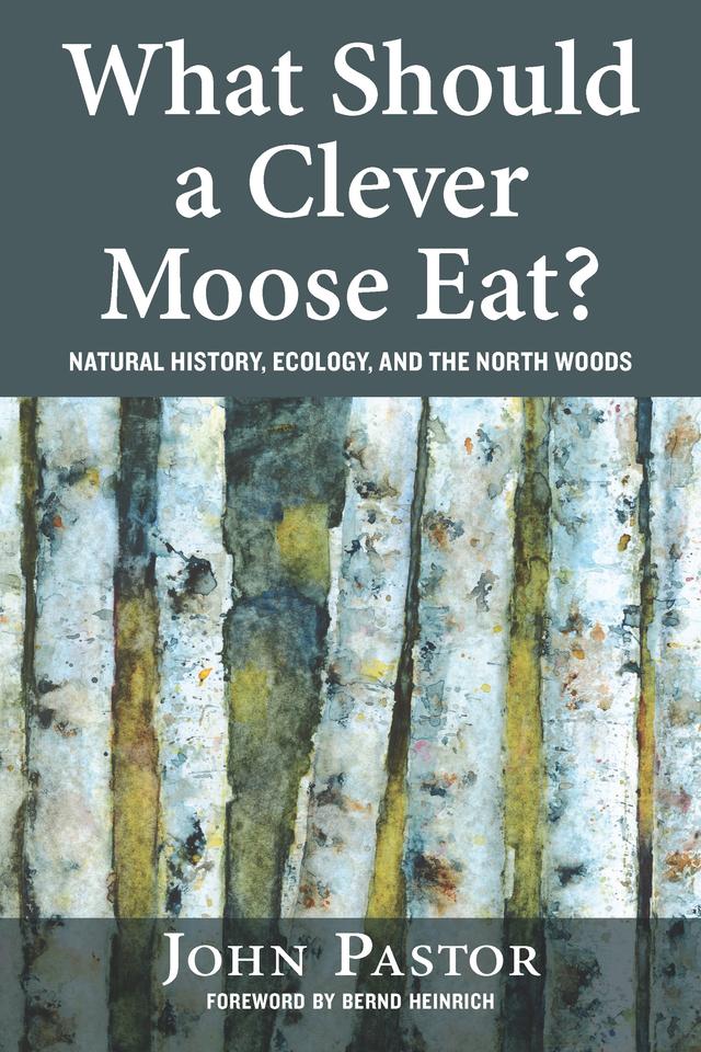 What Should a Clever Moose Eat? by Bernd Heinrich, John Pastor