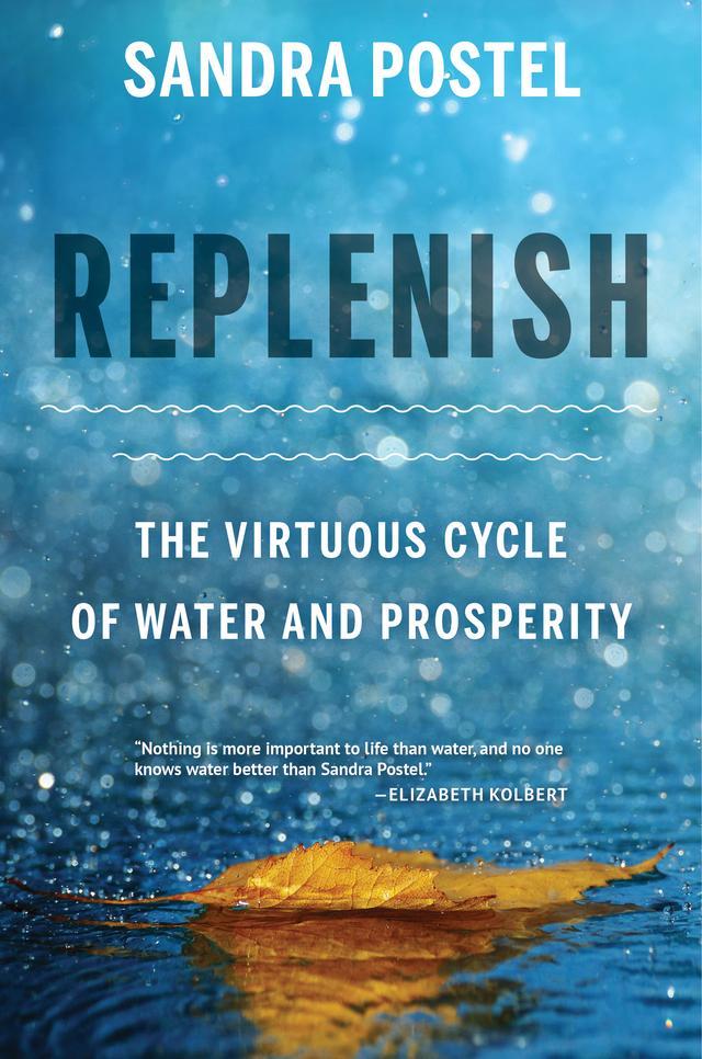 Replenish by Sandra Postel