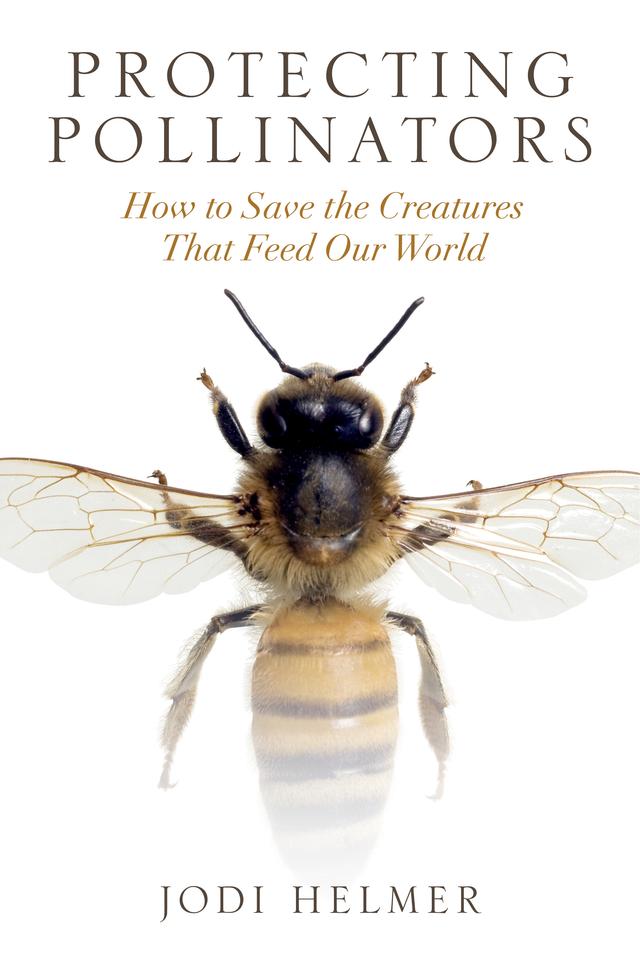 Protecting Pollinators by Jodi Helmer