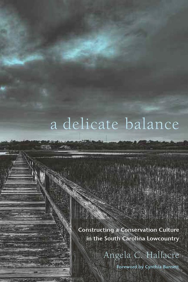 A Delicate Balance by Angela C. Halfacre, Cynthia Barnett