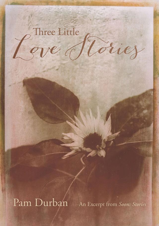 Three Little Love Stories by Pam Durban